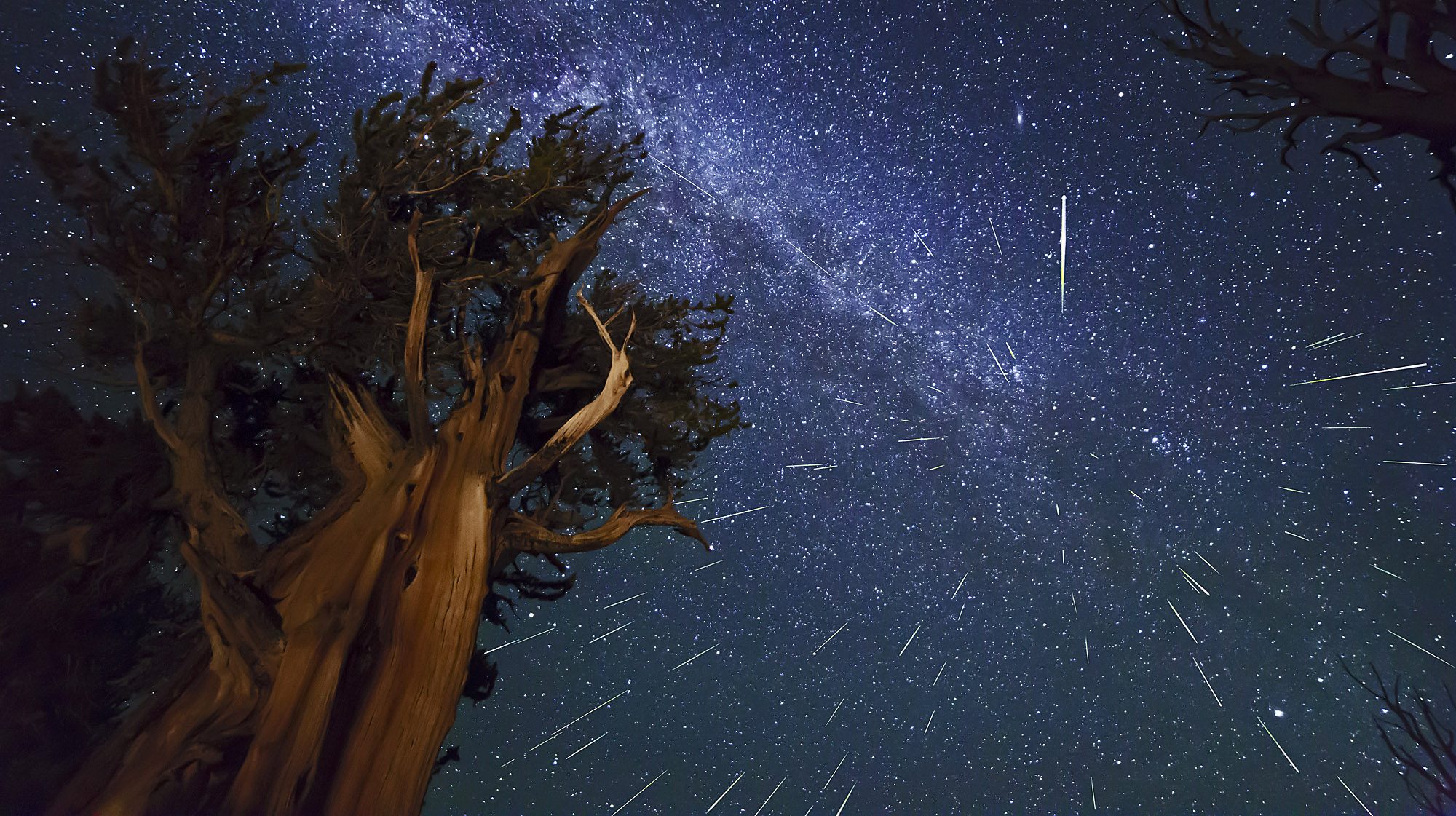 Maior chuva de meteoros do ano está prestes a acontecer e você poderá