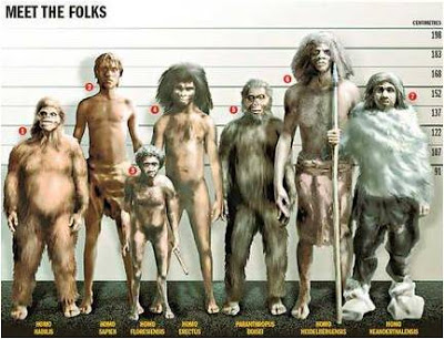 ¿De donde salieron los humanos?: Evolucionismo o creacionismo. - Página 6 Homosapian