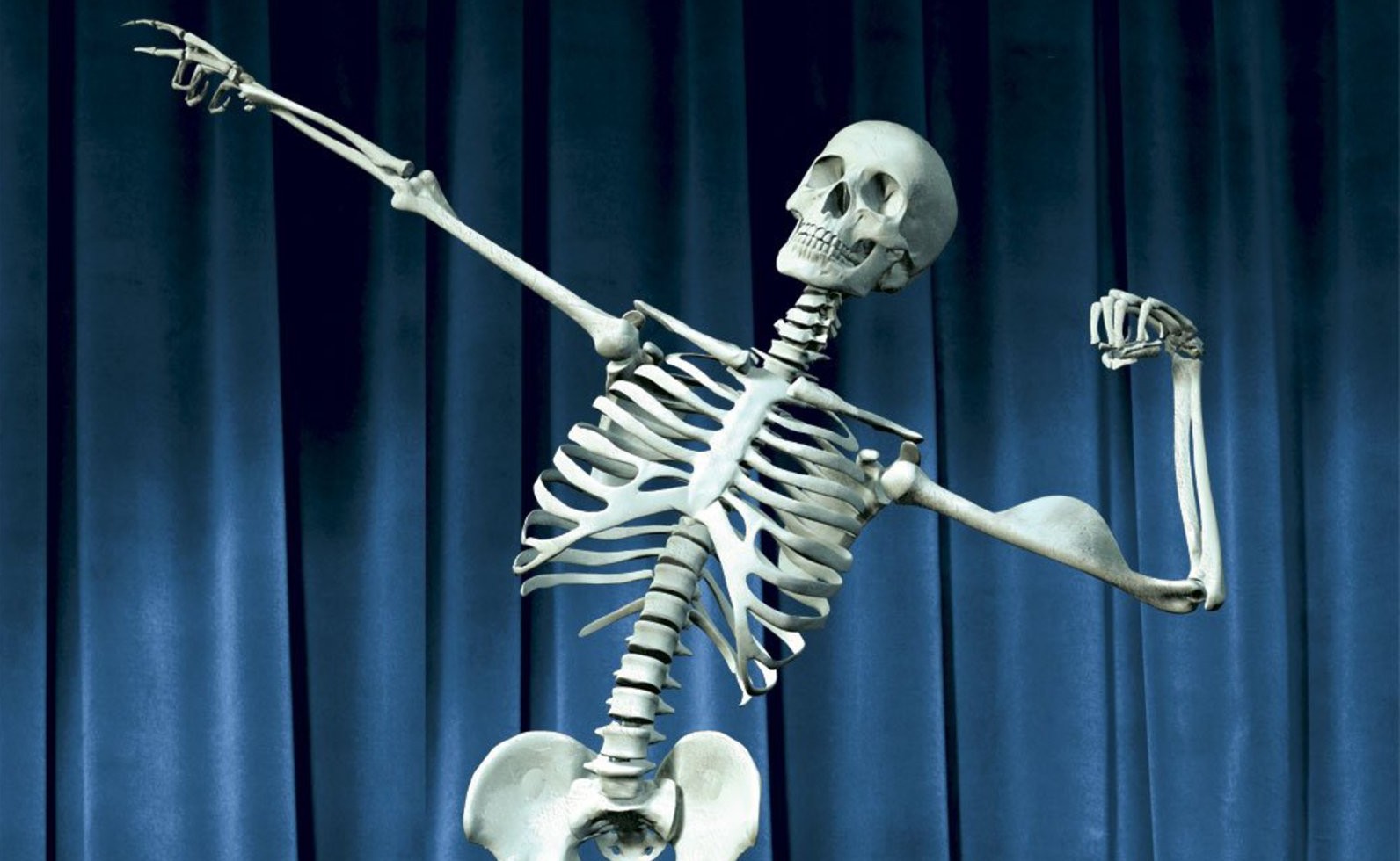 Облегченный скелет. Скелет. Скелет человека.