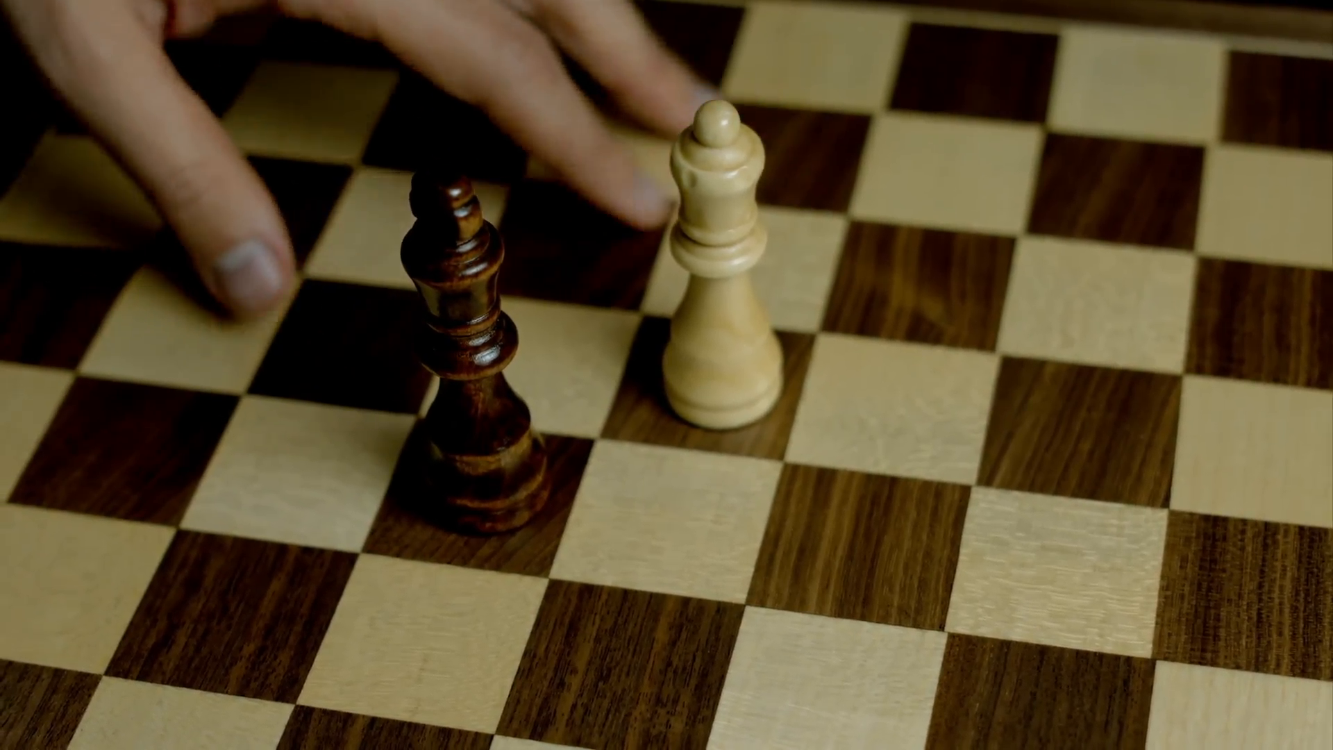 Que peça de xadrez tem a cabeça de, Respostas Triviais