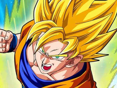 Dragon Ball Super - Mangá revela o Rei dos Saiyajins do Universo 6 – Fatos  Desconhecidos